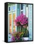 Window With Flowers, France, Europe-Guy Thouvenin-Framed Stretched Canvas