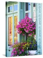 Window With Flowers, France, Europe-Guy Thouvenin-Stretched Canvas