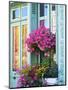 Window With Flowers, France, Europe-Guy Thouvenin-Mounted Premium Photographic Print