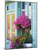 Window With Flowers, France, Europe-Guy Thouvenin-Mounted Photographic Print