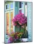 Window With Flowers, France, Europe-Guy Thouvenin-Mounted Photographic Print