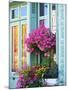 Window With Flowers, France, Europe-Guy Thouvenin-Mounted Photographic Print