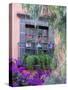 Window with Geraniums, San Miguel De Allende, Mexico-Alice Garland-Stretched Canvas