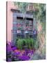 Window with Geraniums, San Miguel De Allende, Mexico-Alice Garland-Stretched Canvas