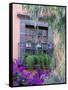 Window with Geraniums, San Miguel De Allende, Mexico-Alice Garland-Framed Stretched Canvas