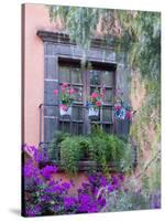 Window with Geraniums, San Miguel De Allende, Mexico-Alice Garland-Stretched Canvas