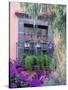 Window with Geraniums, San Miguel De Allende, Mexico-Alice Garland-Stretched Canvas
