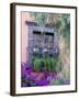 Window with Geraniums, San Miguel De Allende, Mexico-Alice Garland-Framed Premium Photographic Print