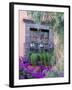 Window with Geraniums, San Miguel De Allende, Mexico-Alice Garland-Framed Premium Photographic Print