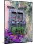 Window with Geraniums, San Miguel De Allende, Mexico-Alice Garland-Mounted Photographic Print