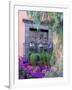 Window with Geraniums, San Miguel De Allende, Mexico-Alice Garland-Framed Photographic Print