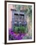 Window with Geraniums, San Miguel De Allende, Mexico-Alice Garland-Framed Photographic Print