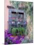 Window with Geraniums, San Miguel De Allende, Mexico-Alice Garland-Mounted Photographic Print