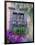 Window with Geraniums, San Miguel De Allende, Mexico-Alice Garland-Framed Photographic Print