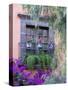 Window with Geraniums, San Miguel De Allende, Mexico-Alice Garland-Stretched Canvas