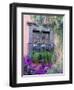 Window with Geraniums, San Miguel De Allende, Mexico-Alice Garland-Framed Premium Photographic Print