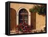 Window with Shutters and Window Box, Italy, Europe-Hart Kim-Framed Stretched Canvas