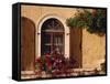 Window with Shutters and Window Box, Italy, Europe-Hart Kim-Framed Stretched Canvas