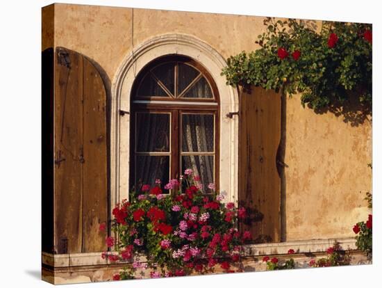 Window with Shutters and Window Box, Italy, Europe-Hart Kim-Stretched Canvas