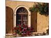 Window with Shutters and Window Box, Italy, Europe-Hart Kim-Mounted Photographic Print