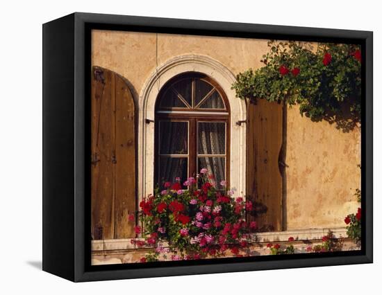 Window with Shutters and Window Box, Italy, Europe-Hart Kim-Framed Stretched Canvas