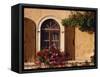 Window with Shutters and Window Box, Italy, Europe-Hart Kim-Framed Stretched Canvas