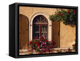 Window with Shutters and Window Box, Italy, Europe-Hart Kim-Framed Stretched Canvas