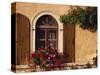 Window with Shutters and Window Box, Italy, Europe-Hart Kim-Stretched Canvas