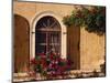 Window with Shutters and Window Box, Italy, Europe-Hart Kim-Mounted Premium Photographic Print