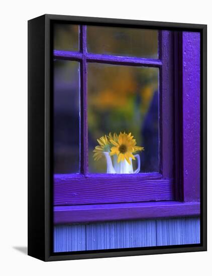 Window with Sunflowers in Vase-Steve Terrill-Framed Stretched Canvas