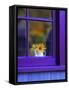 Window with Sunflowers in Vase-Steve Terrill-Framed Stretched Canvas