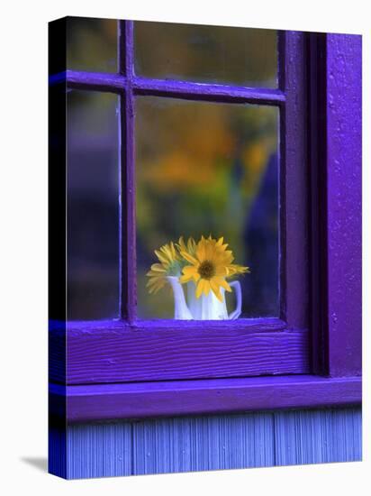 Window with Sunflowers in Vase-Steve Terrill-Stretched Canvas