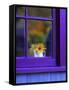 Window with Sunflowers in Vase-Steve Terrill-Framed Stretched Canvas