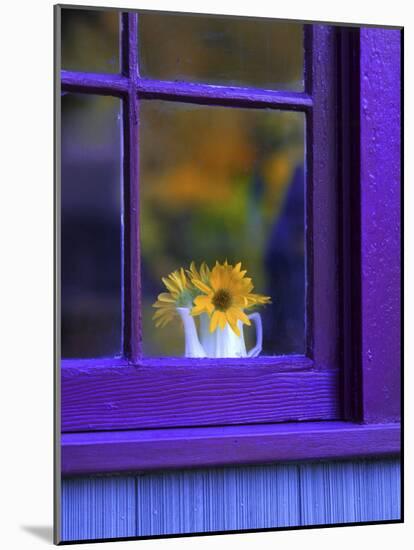 Window with Sunflowers in Vase-Steve Terrill-Mounted Photographic Print