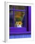 Window with Sunflowers in Vase-Steve Terrill-Framed Photographic Print