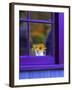 Window with Sunflowers in Vase-Steve Terrill-Framed Photographic Print