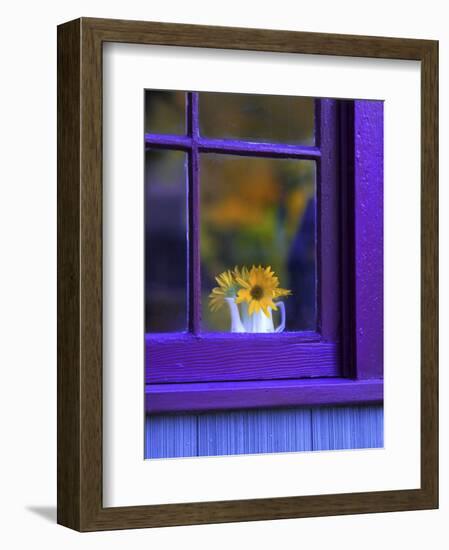 Window with Sunflowers in Vase-Steve Terrill-Framed Photographic Print