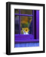 Window with Sunflowers in Vase-Steve Terrill-Framed Photographic Print