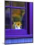 Window with Sunflowers in Vase-Steve Terrill-Mounted Photographic Print