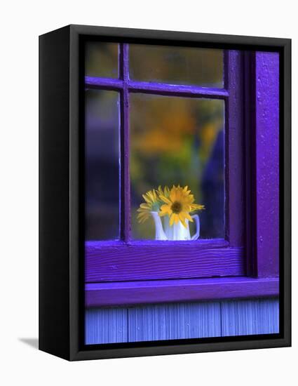 Window with Sunflowers in Vase-Steve Terrill-Framed Stretched Canvas