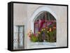 Windows and Flowers in Village, Cappadoccia, Turkey-Darrell Gulin-Framed Stretched Canvas