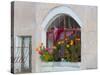 Windows and Flowers in Village, Cappadoccia, Turkey-Darrell Gulin-Stretched Canvas