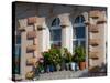 Windows and Flowers in Village, Cappadoccia, Turkey-Darrell Gulin-Stretched Canvas