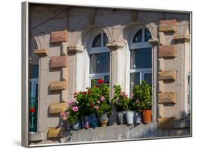 Windows and Flowers in Village, Cappadoccia, Turkey-Darrell Gulin-Framed Photographic Print