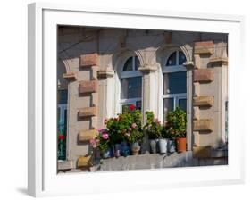 Windows and Flowers in Village, Cappadoccia, Turkey-Darrell Gulin-Framed Photographic Print