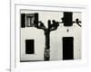 Windows and Pruned Tree, Spain, 1960-Brett Weston-Framed Photographic Print