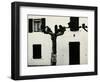 Windows and Pruned Tree, Spain, 1960-Brett Weston-Framed Photographic Print