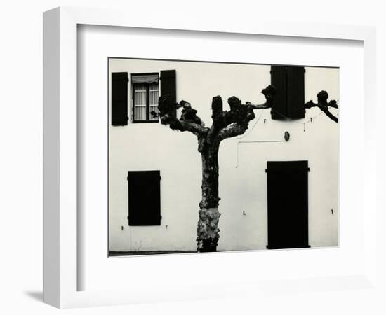 Windows and Pruned Tree, Spain, 1960-Brett Weston-Framed Photographic Print