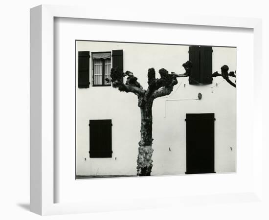 Windows and Pruned Tree, Spain, 1960-Brett Weston-Framed Photographic Print