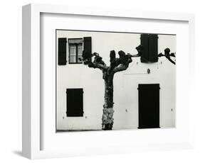 Windows and Pruned Tree, Spain, 1960-Brett Weston-Framed Photographic Print